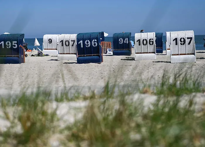 Tiny House Pioneer 2 - Tiny Spot * Schillig